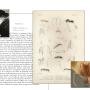 print_semantic_enhanced_documents_anochetus_forel.png