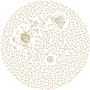 graph_3000_relations-web.png