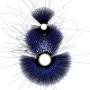 jung_corr_gephi.jpg