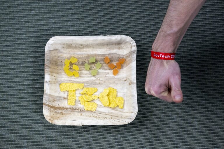 «GovTech», gelegt aus Snacks