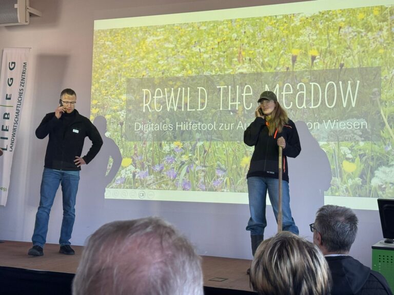 Schlusspräsentation «Rewild the Meadow»