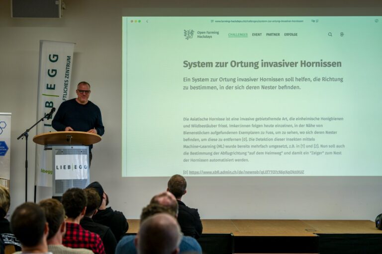 Pitch der Challenge «System zur Ortung invasiver Hornissen»