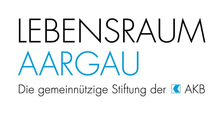 Bild aus der Ankündigung von «Smart Regio Lab Lenzburg Seetal 2025» auf opendata.ch
